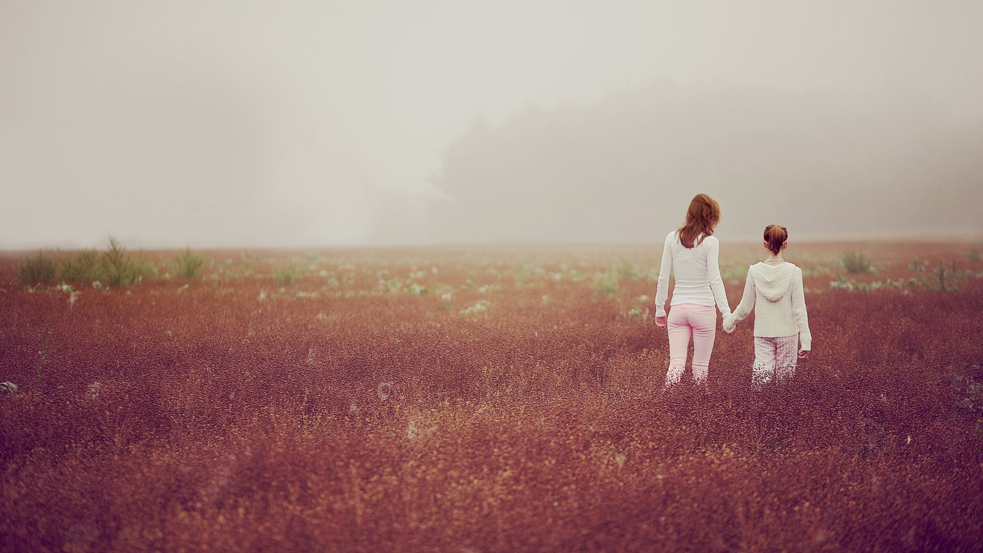 Download wallpaper 1920x1080 walk, girl, grass, mood full hd, hdtv, fhd ...