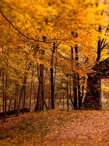 Preview wallpaper wall, aperture, wood, stones, autumn, leaves, trees