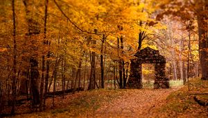 Preview wallpaper wall, aperture, wood, stones, autumn, leaves, trees