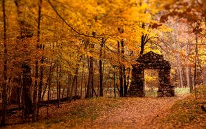 Preview wallpaper wall, aperture, wood, stones, autumn, leaves, trees
