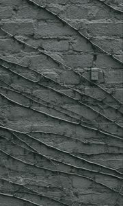 Preview wallpaper wall, branches, gray, surface