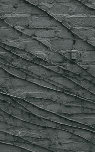 Preview wallpaper wall, branches, gray, surface