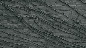 Preview wallpaper wall, branches, gray, surface