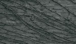 Preview wallpaper wall, branches, gray, surface