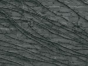 Preview wallpaper wall, branches, gray, surface
