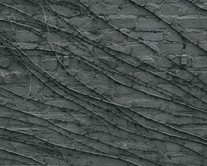 Preview wallpaper wall, branches, gray, surface