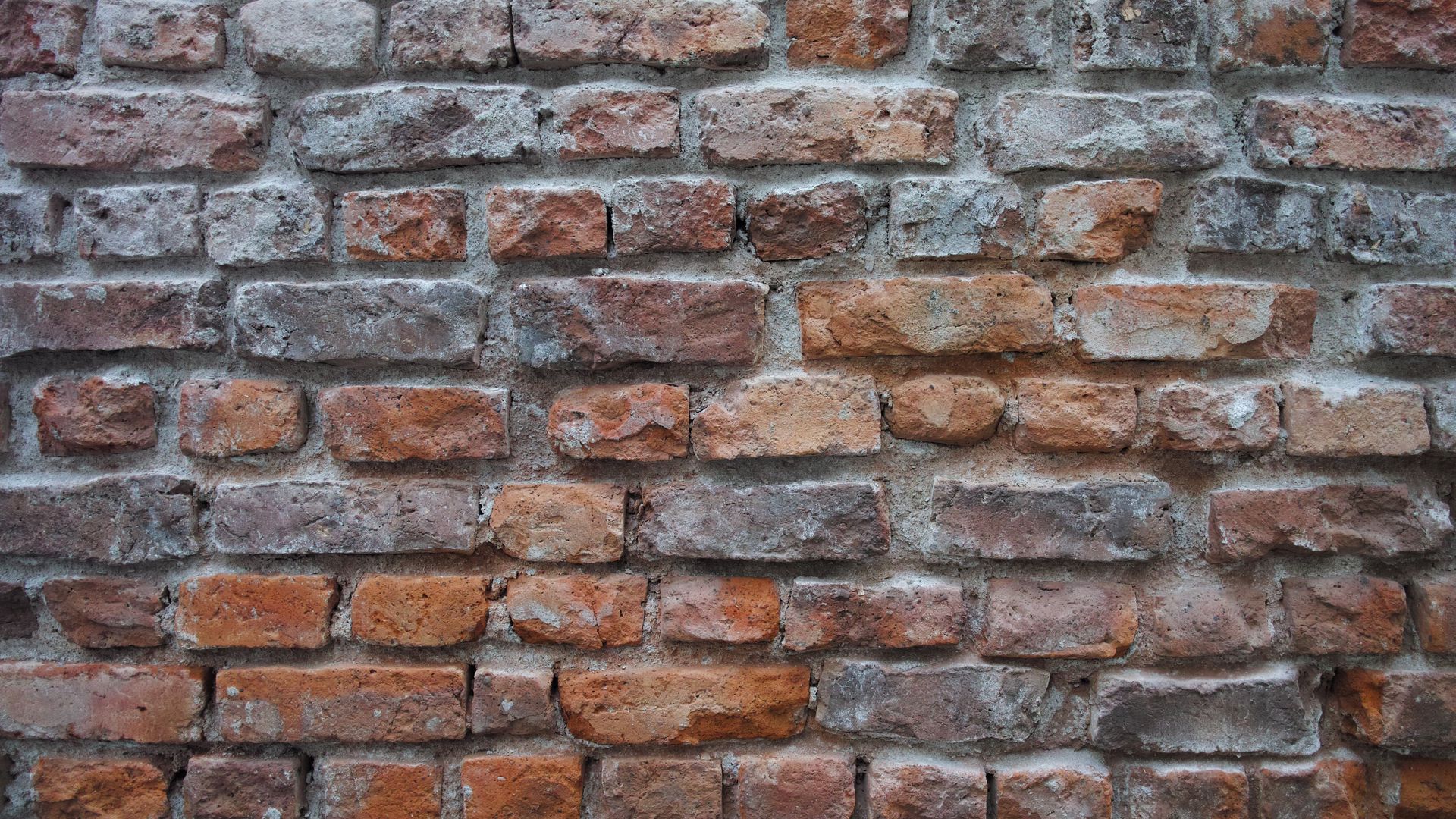 Download wallpaper 1920x1080 wall, brick, surface, texture, old full hd ...