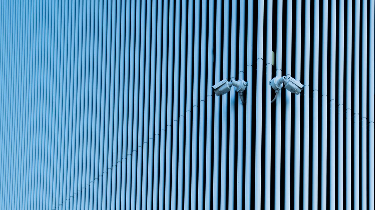 Wallpaper wall, cameras, stripes, minimalism