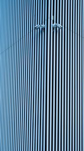 Preview wallpaper wall, cameras, stripes, minimalism