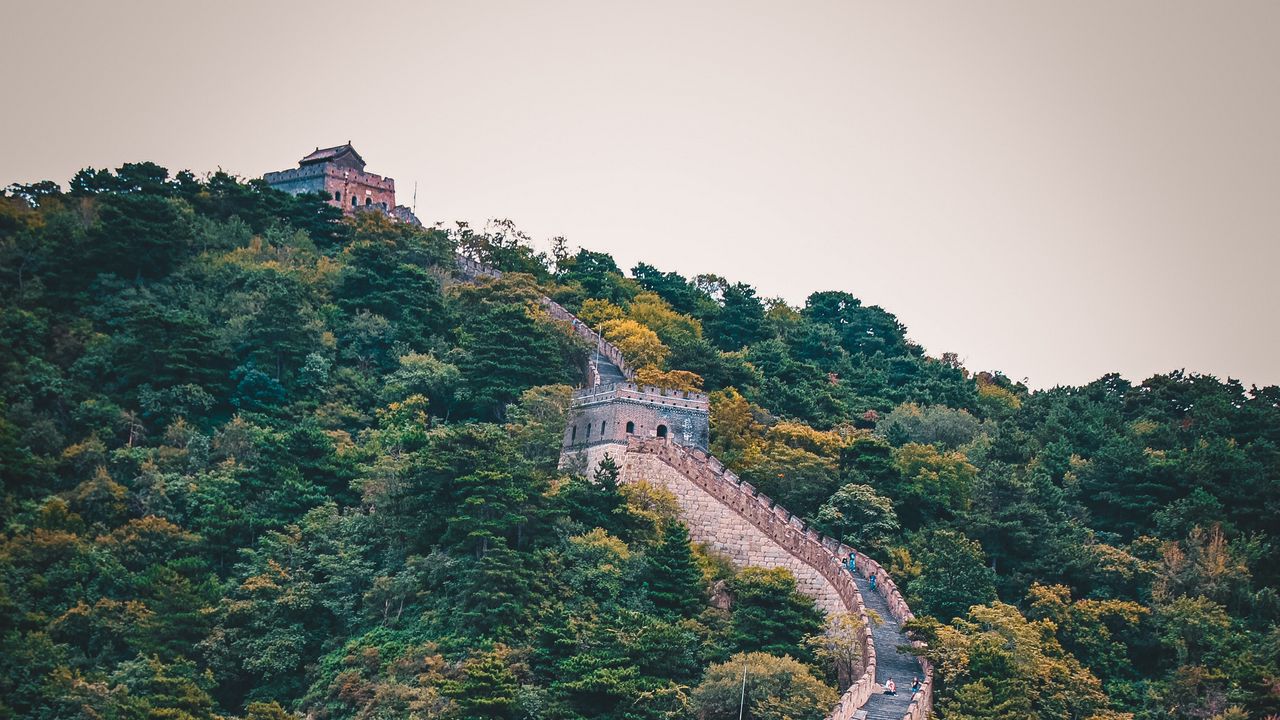 Wallpaper wall, forest, hill, nature, architecture