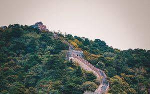 Preview wallpaper wall, forest, hill, nature, architecture