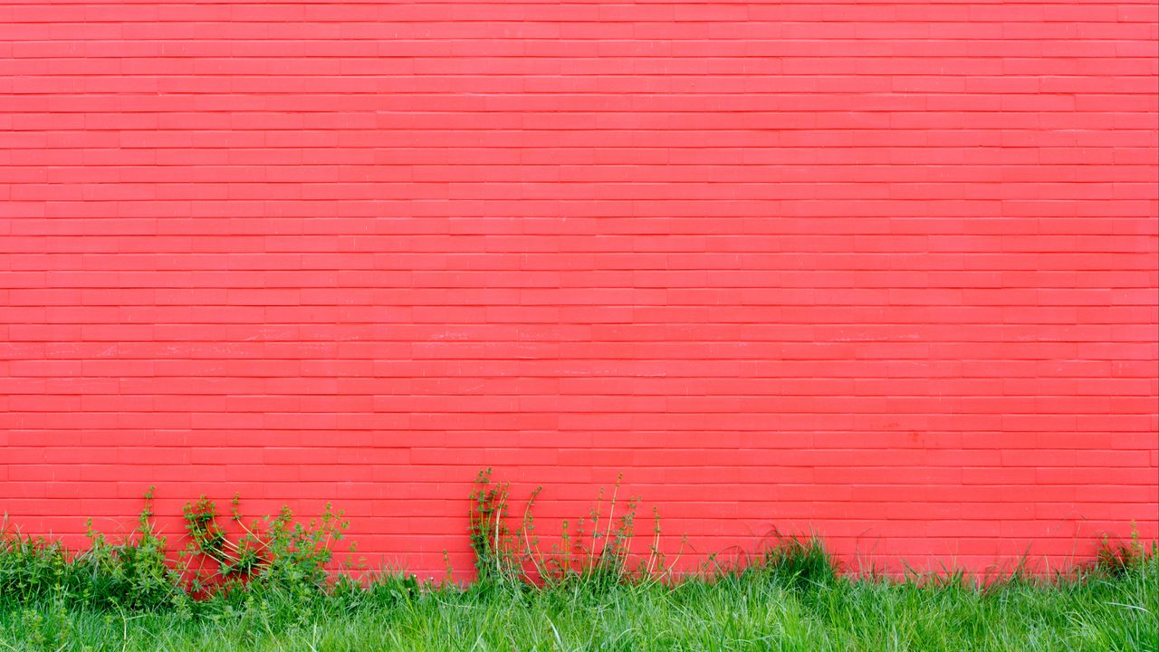 Wallpaper wall, grass, pink, bricks