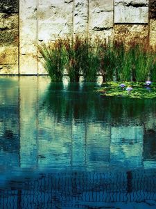 Preview wallpaper wall, grass, water, reflection, stones