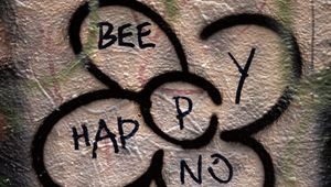 Preview wallpaper wall, inscription, flower, words