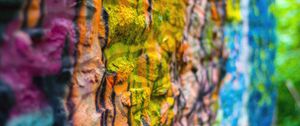Preview wallpaper wall, paint, colorful, macro, surface