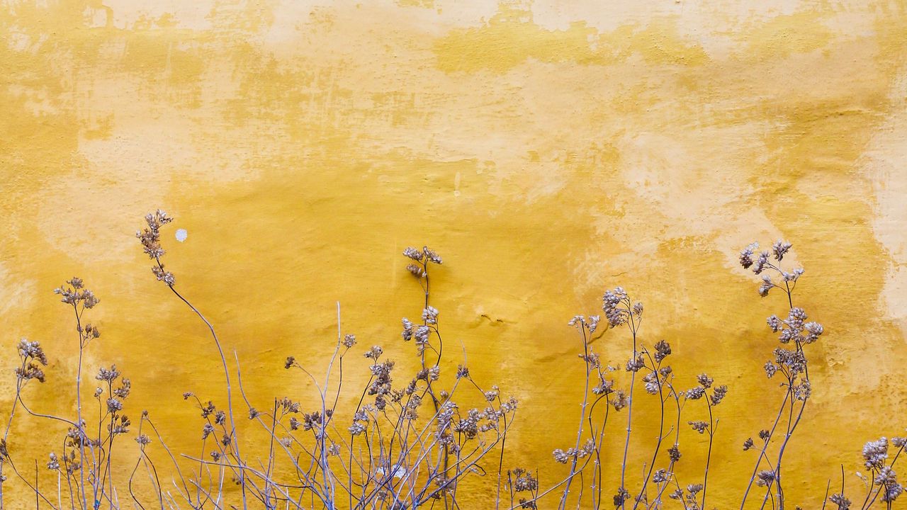 Wallpaper wall, plants, spots, yellow