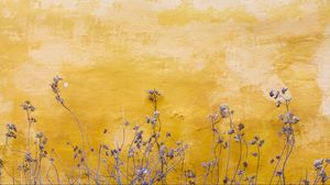 Preview wallpaper wall, plants, spots, yellow
