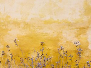 Preview wallpaper wall, plants, spots, yellow