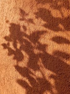 Preview wallpaper wall, shadow, texture, brown