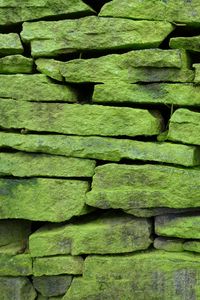 Preview wallpaper wall, stone, surface, texture, green