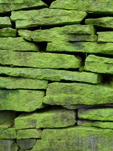 Preview wallpaper wall, stone, surface, texture, green