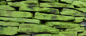 Preview wallpaper wall, stone, surface, texture, green
