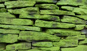 Preview wallpaper wall, stone, surface, texture, green