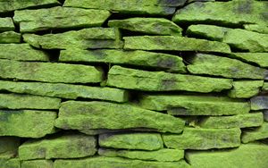 Preview wallpaper wall, stone, surface, texture, green