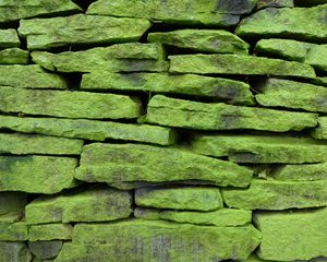 Preview wallpaper wall, stone, surface, texture, green