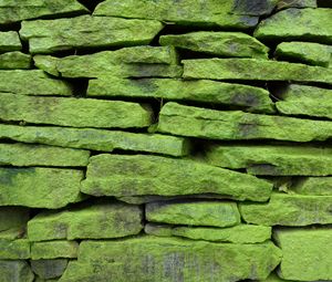 Preview wallpaper wall, stone, surface, texture, green