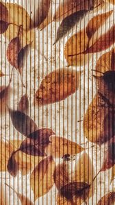 Preview wallpaper wall, stripes, leaves, autumn, texture