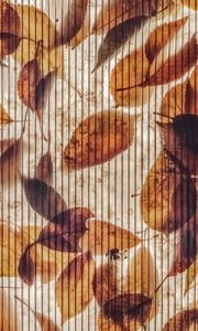 Preview wallpaper wall, stripes, leaves, autumn, texture
