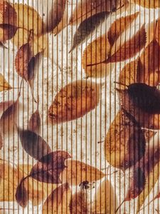 Preview wallpaper wall, stripes, leaves, autumn, texture