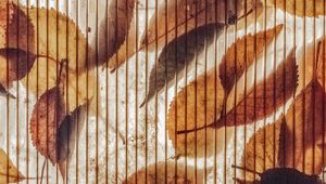 Preview wallpaper wall, stripes, leaves, autumn, texture