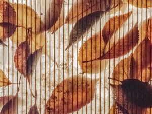 Preview wallpaper wall, stripes, leaves, autumn, texture