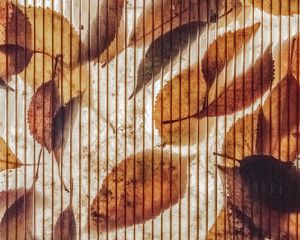 Preview wallpaper wall, stripes, leaves, autumn, texture