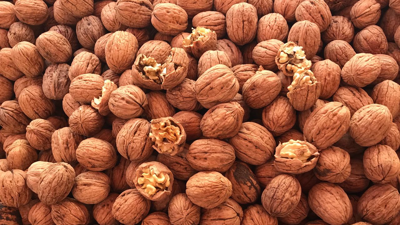 Wallpaper walnut, nuts, brown, fruit
