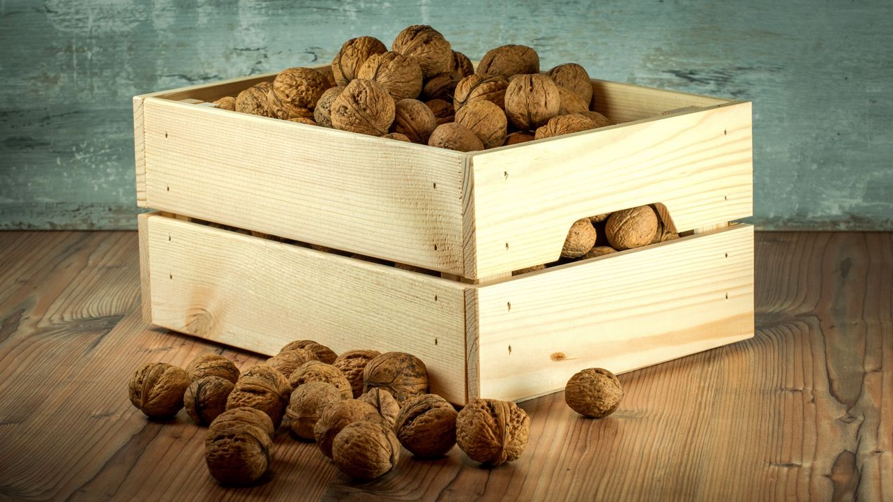 Wallpaper walnuts, box, shell