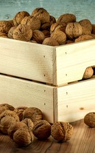 Preview wallpaper walnuts, box, shell