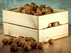 Preview wallpaper walnuts, box, shell
