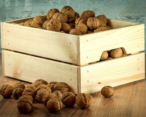 Preview wallpaper walnuts, box, shell