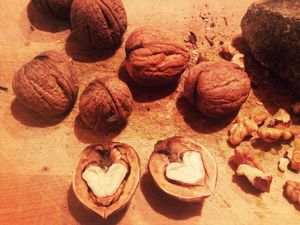 Preview wallpaper walnuts, heart, shell