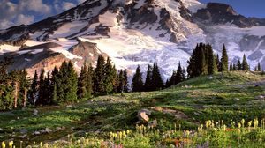 Preview wallpaper washington, mountains, glade, flowers, trees, stones