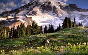 Preview wallpaper washington, mountains, glade, flowers, trees, stones