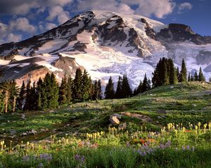 Preview wallpaper washington, mountains, glade, flowers, trees, stones