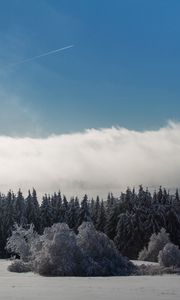 Preview wallpaper wasserkuppe, mountain, forest, winter, snow, storm