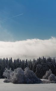 Preview wallpaper wasserkuppe, mountain, forest, winter, snow, storm