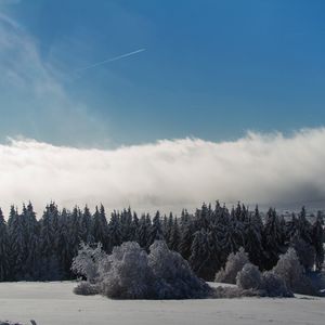 Preview wallpaper wasserkuppe, mountain, forest, winter, snow, storm