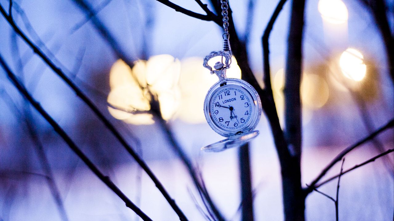 Wallpaper watches, branches, winter, pocket watch