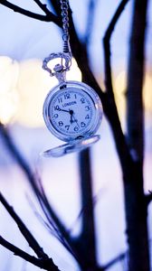 Preview wallpaper watches, branches, winter, pocket watch